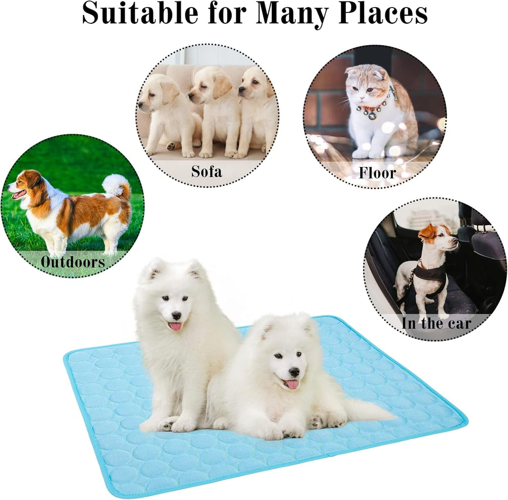 Dos perros samoyedo tumbados sobre la manta refrescante extendida