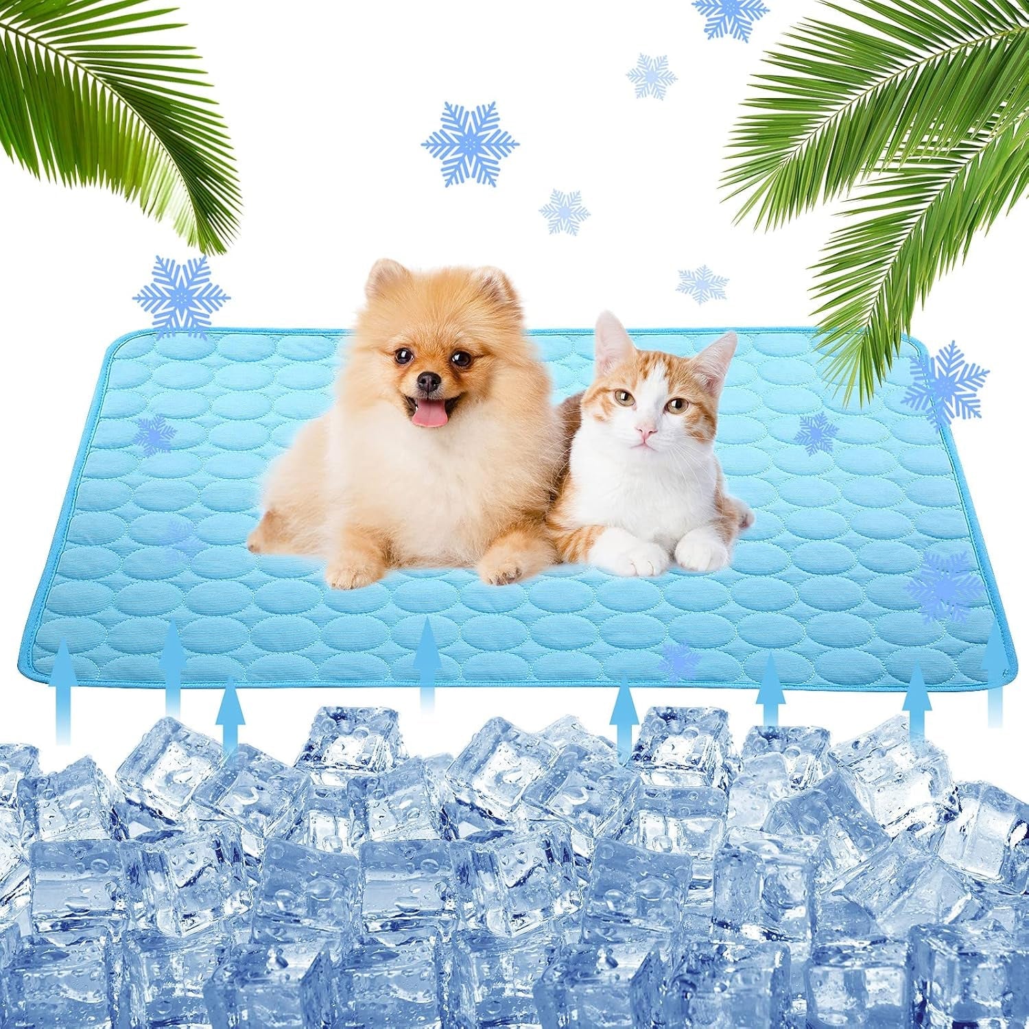 Un perro pomerania y un gato tumbados sobre la manta refrescante azul