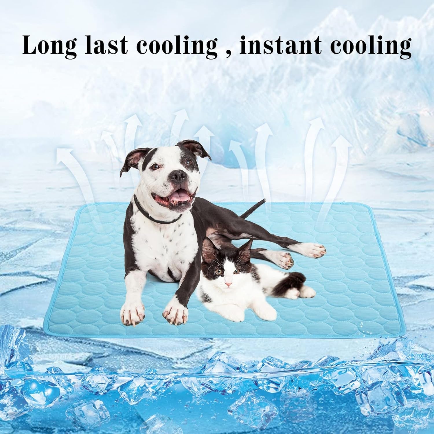 Un perro y un gato sobre la manta refrescante rodeados de hielo