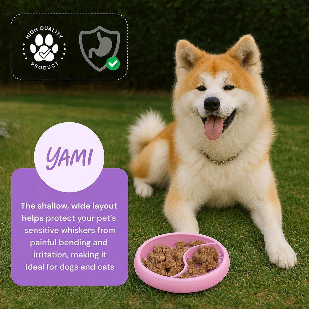 Un perro akita junto a la alfombrilla de lamer con comida